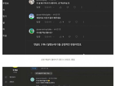 어떤 한 100만 유투버가 비밀 채널 30일동안 키워봄