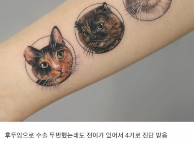 현재 커뮤니티에서 논란인 와이프