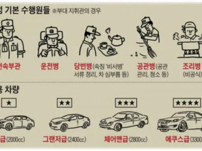 스타별 관용차량