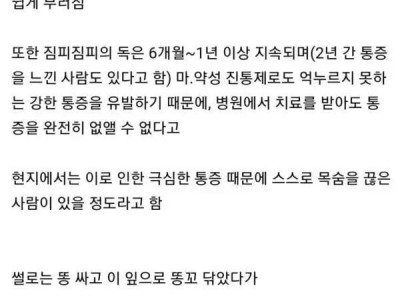 절대 맨손으로 만져선 안 되는 식물 ㄷ..JPG
