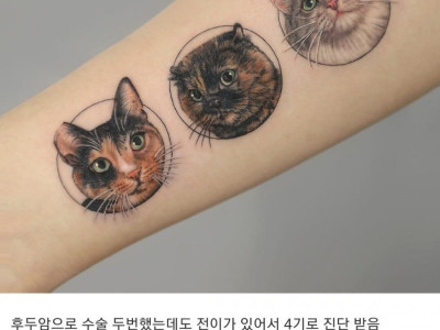 현재 커뮤에서 논란이라는 와이프