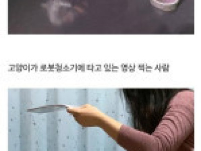 올해도 개최된 일본의 소소한 할로윈 코스프레.jpg