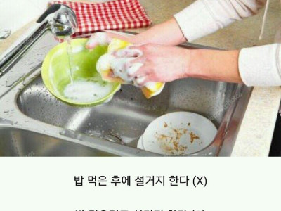 자취생 설거지 특징