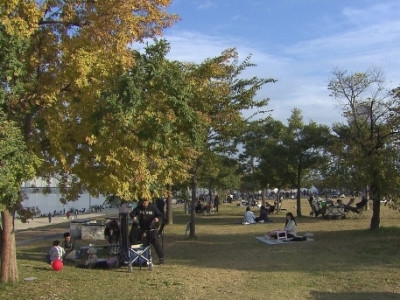 왜 이렇게 덥지?…11월의 서울, 116년 만에 가장 덥다