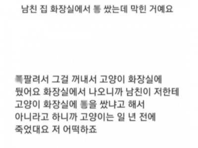 여친과 고양이집