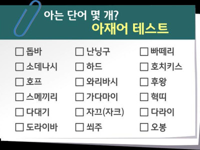 아재어 테스트