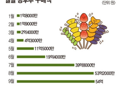 탕후루 구매 5개월 사이 12배 늘었다