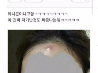 유니콘