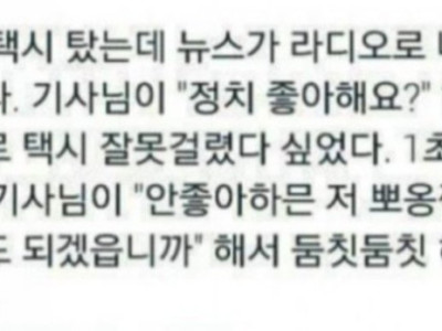 정치 좋아해요?