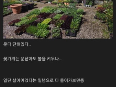 개드립] 잊어먹은 결혼기념일 후기.jpg