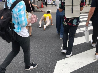 우리 개는 안물어요