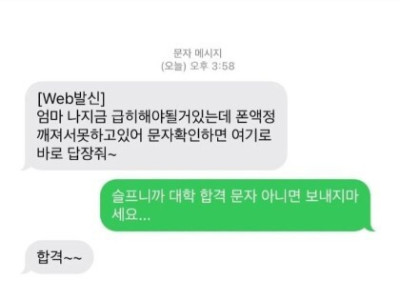 아 ㅅ발ㅜ나 사기 문자 온 거 볼 사람.jpg
