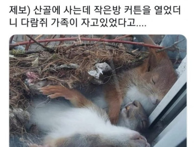 산골에 살면 볼수있는 장면