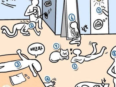 다음 중 누가 집 주인일까?