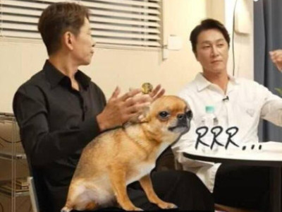기센 사람들이 공통점