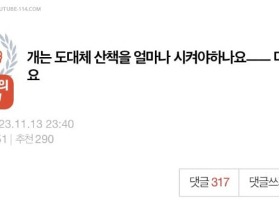 판] 개는 도대체 산책을 얼마나 시켜야하나요.jpg