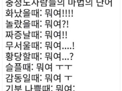 마법의 단어 국룰