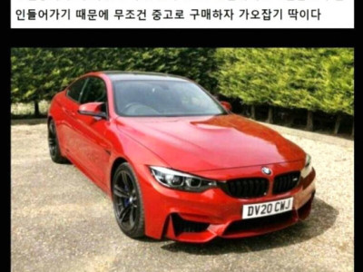 20년차 카푸어의 차량구매 팁