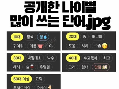 카카오에서 공개한 나이별 많이 쓰는 단어