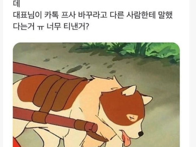 파트라슈로 카톡 프사