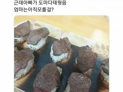 아빠가 만들어준 소고기 초밥