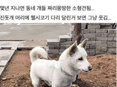 개유전자중 최고 쎈거