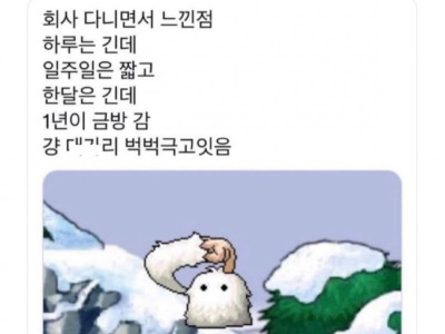 회사다니면서 느낀점