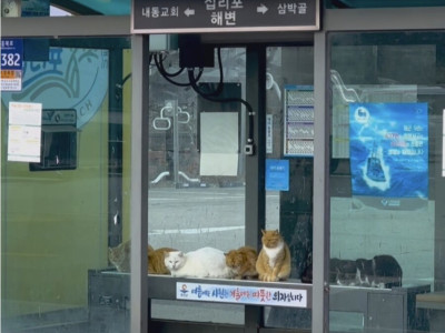 버스정류장 열선시트 근황.jpg