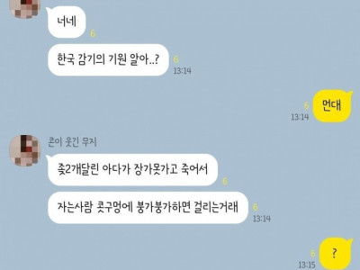 한국사람들이 감기 걸리는 원인