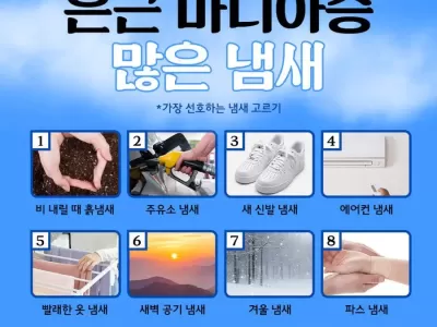 은근히 마니아층 많은 냄새