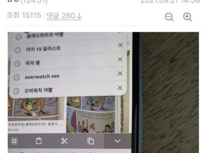 잼민이 핸드폰 검색기록