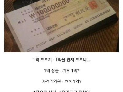 1억에대한 한국인들의 인식