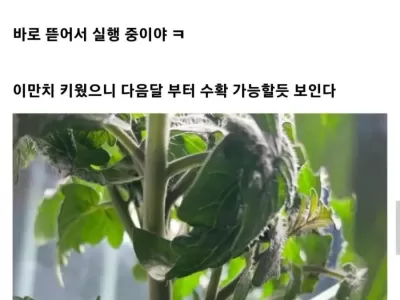 아기 유치원 숙제를 대신 해준 디씨 식물갤러.jpg