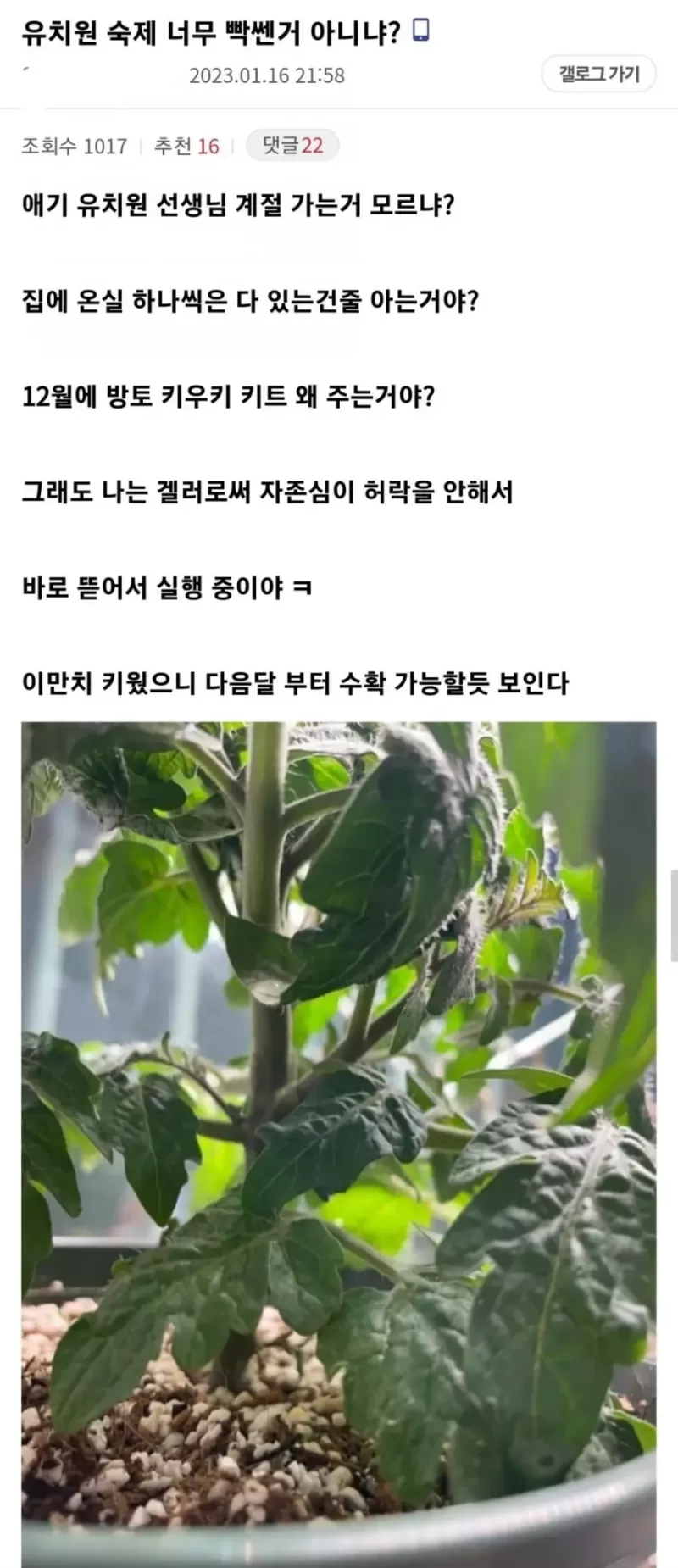 17008932292025.webp