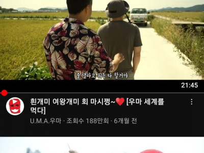 유튜버 이름이 생각안나서 검색했더니 바로나옴
