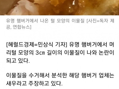 햄버거 속 털 모양 이물질..분석 해보니 '반전