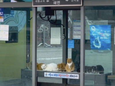 버스정류장 열선의자 근황