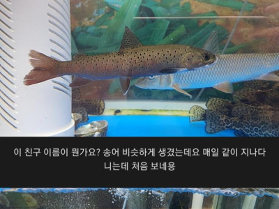 매운탕집 레전드.jpg