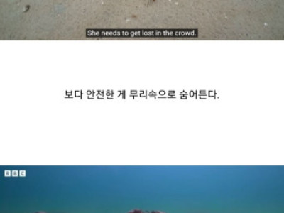 BBC다큐] 조금 굼뜨고 어색해도 그는 우리 동료야.jpg
