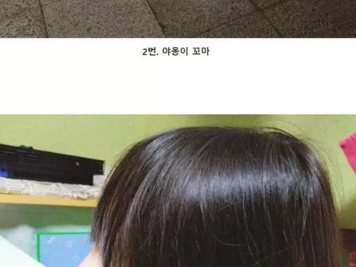 대한민국 뒷태 4인방