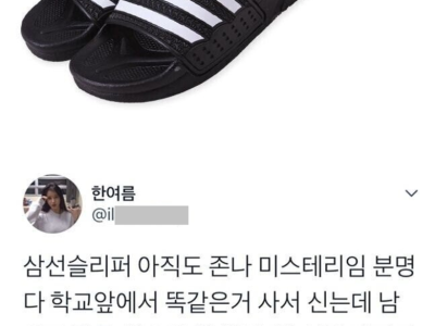 삼선 슬리퍼의 미스테리.jpg
