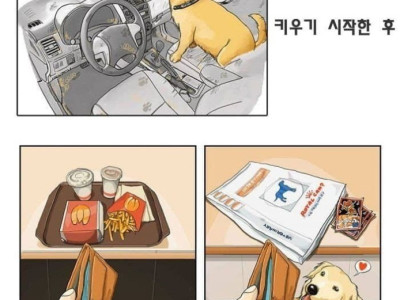 반려동물 키우기 전과후