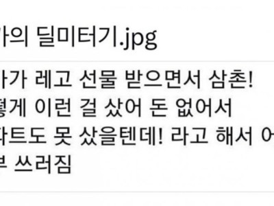 레고 선물받은 조카의 비수