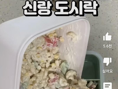 새벽 6시에 남편 도시락 싸주는 영상에 나오는 댓글