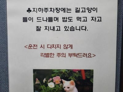 요즘 아파트 지하 주차장 상황.jpg