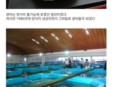 북한 간첩이 광어회를 요구한 이유