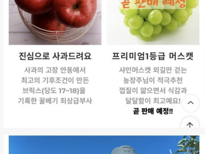 신정환 근황.jpg