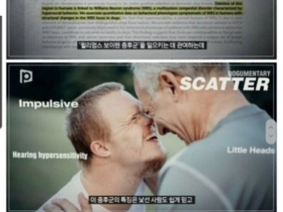 늑대와 개를 구분짓는 단 0.04%의 차이