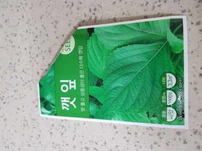 성격 급한 사람의 깻잎키우ㄱ