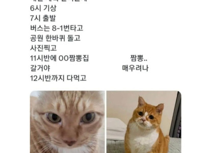 MBTI J와 P의 여행
